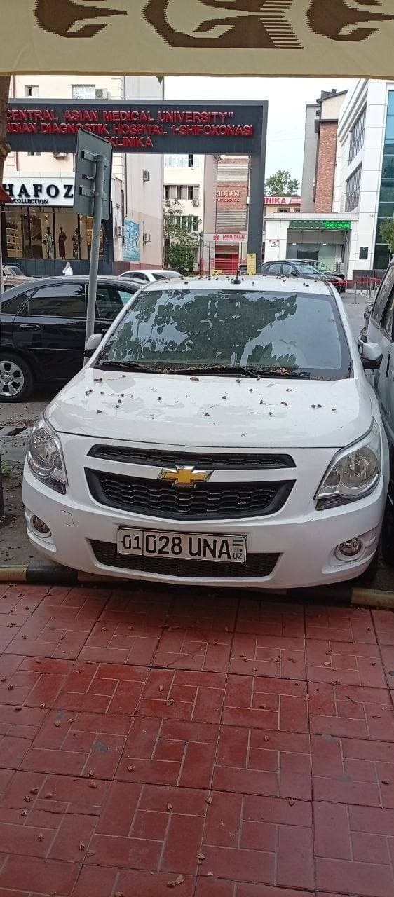 Chevrolet Cobalt